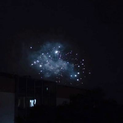 魔灵觉醒草花版下载