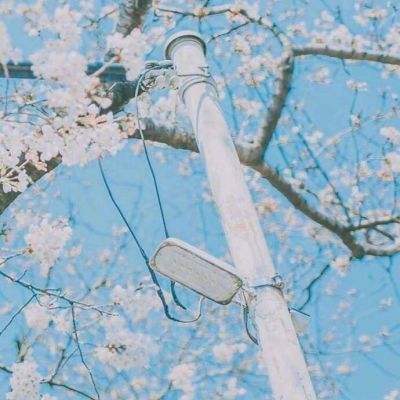九游超级战姬传说手机版下载