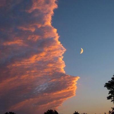 果盘幻想仙侣手游下载